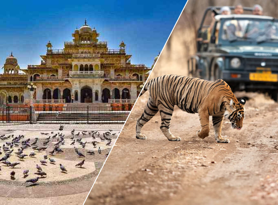 Jaipur to Ranthambore Tour Package